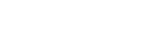 noidlab logo w
